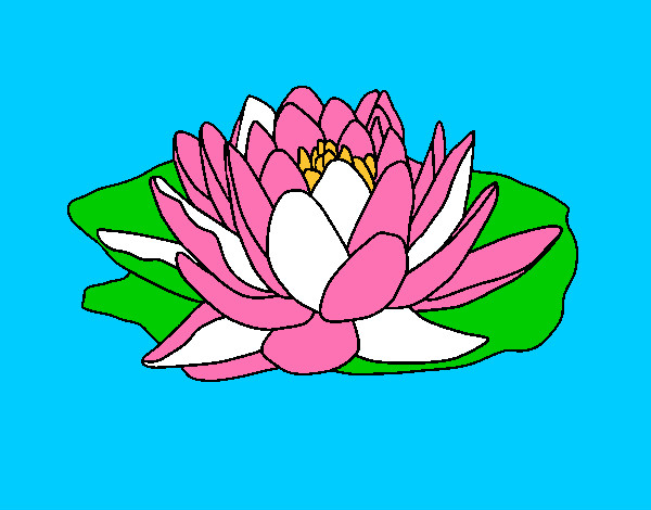 Coloring page Nymphaea painted byBirdie