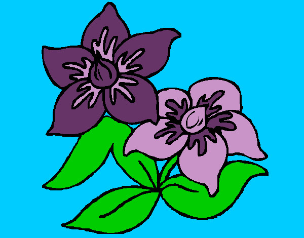 Coloring page Flowers 3 painted byairman1025
