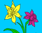 Coloring page Orchid painted byairman1025