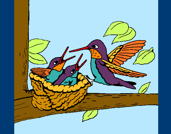 Coloring page Hummingbird family painted bySherry