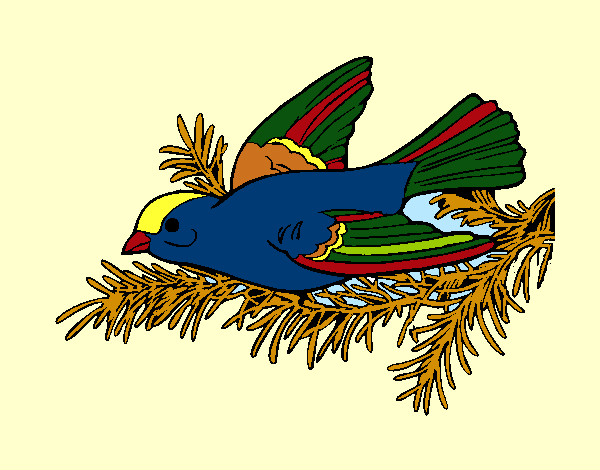 Coloring page Swallow painted bySherry