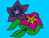 Coloring page Flowers 3 painted byairman1025