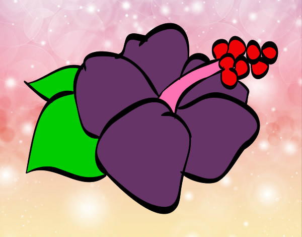 Coloring page Lagunaria flower painted byKissy316