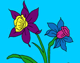 Coloring page Orchid painted byairman1025
