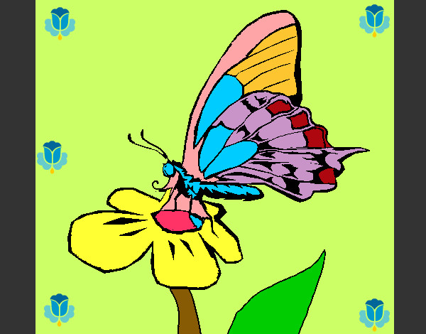 Coloring page Butterfly on flowe painted byyhan22