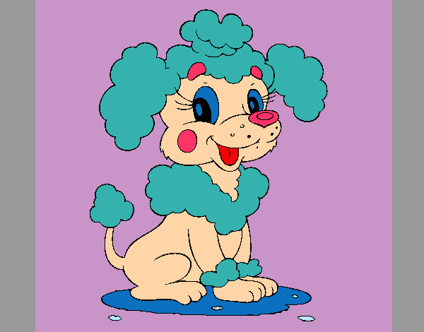 Coloring page Poodle painted byyhan22