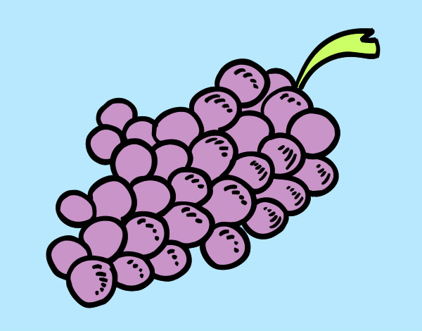 Coloring page Wine grapes painted byems76