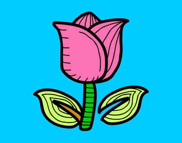 Coloring page Tulip painted bySheeza