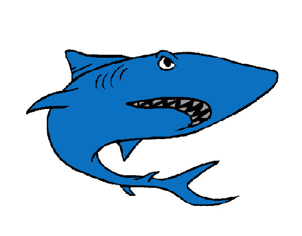 Coloring page Shark painted byJDWR