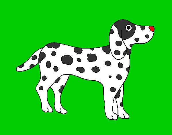 Coloring page Dalmatian painted byphoenix