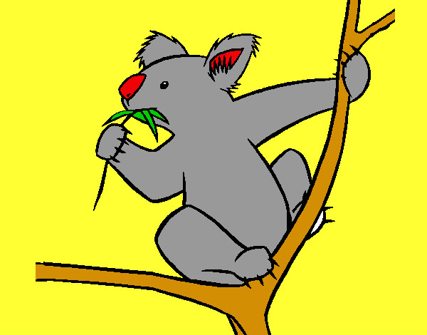 Coloring page Koala painted byBirdie