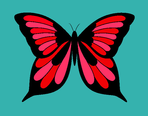 Coloring page Butterfly 19 painted byeden