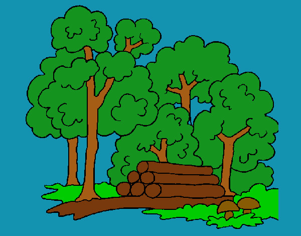 Coloring page Forest painted byeden