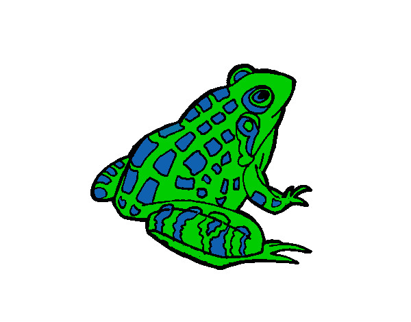 Coloring page Frog painted byeden