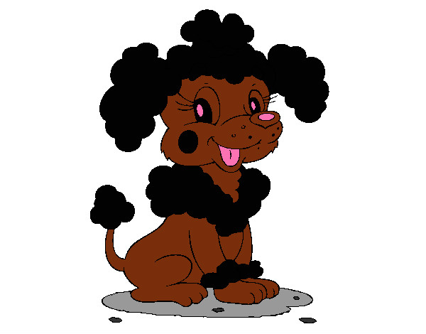Coloring page Poodle painted byeden