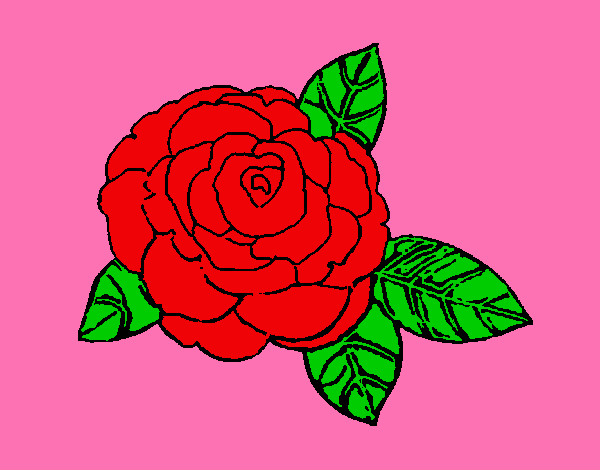 Coloring page Rose painted byeden