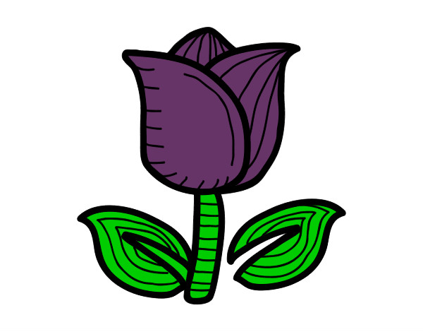 Coloring page Tulip painted byeden