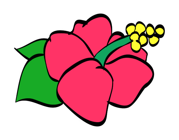 Coloring page Lagunaria flower painted bybella