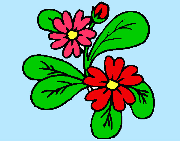 Coloring page Flowers 4a painted bybella