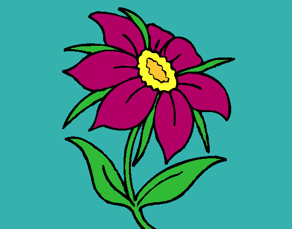 Coloring page Wild flower painted bybella