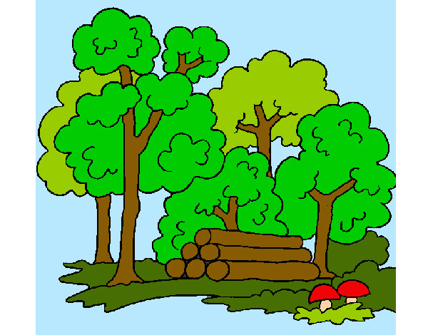 Coloring page Forest painted byBigricxi