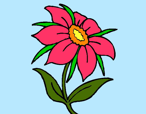 Coloring page Wild flower painted byBigricxi