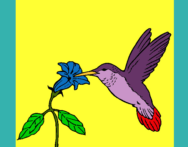 Coloring page Hummingbird and flower painted bymade12