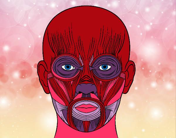 Coloring page Facial muscles painted bymade12