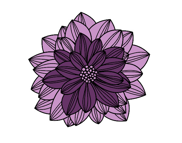 Coloring page Dahlia flower painted byShebear