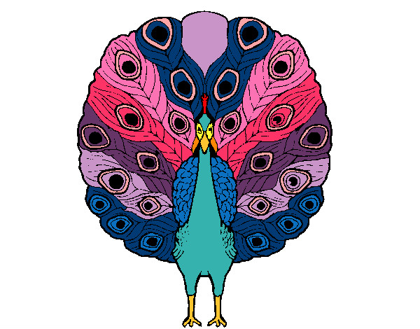 Coloring page Peacock painted byShebear