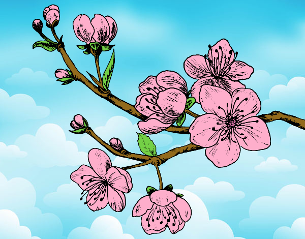 Coloring page Cherry-tree branch painted byShelbyGee