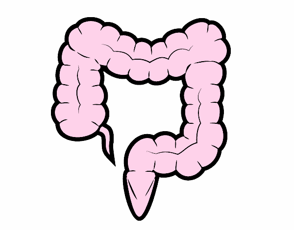 Coloring page Large intestine painted byredhairkid