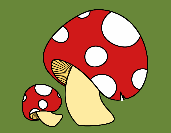 Coloring page Red pine mushroom painted bybarbie_kil