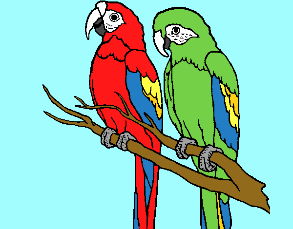 Coloring page Parrots painted bySavannah_M