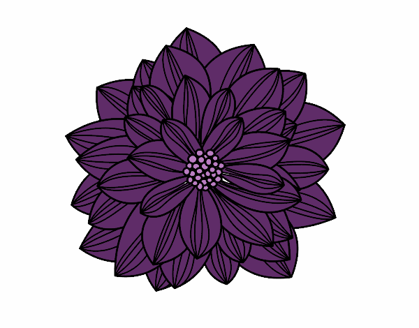 Coloring page Dahlia flower painted bysparker