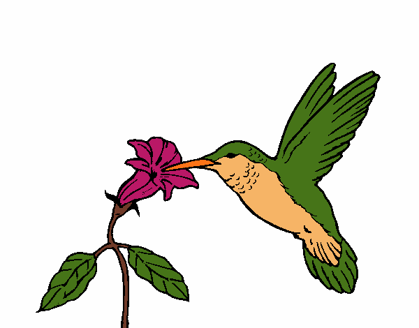 Coloring page Hummingbird and flower painted bysparker