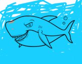 Toothy shark
