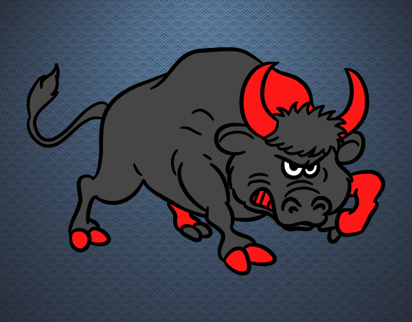 Wild bull