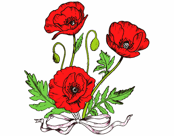 Coloring page Wild poppies painted bytwist