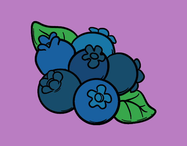 Coloring page Blueberries painted byTheColor