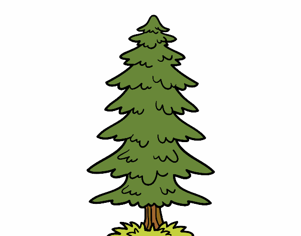 Coloring page A fir painted bynelli00949