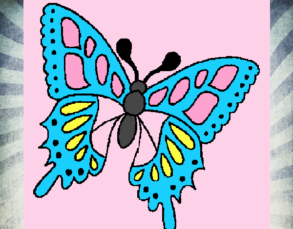 Coloring page Butterfly 2a painted byADAWEHI