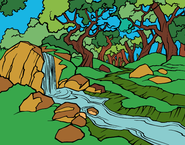Coloring page Forest landscape with a river painted bypinkrose