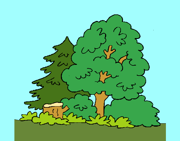 Coloring page Forest painted bypinkrose