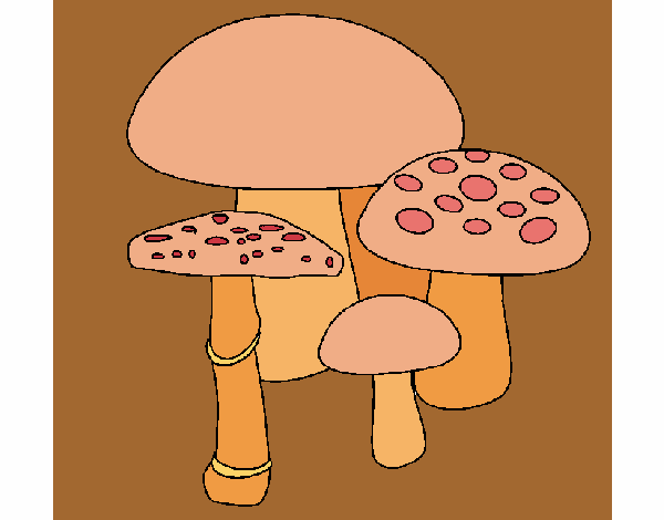 Coloring page Mushrooms painted byDivaDee