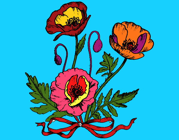Coloring page Some poppies painted bymindella