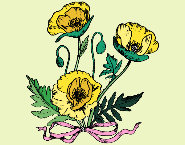 Coloring page Some poppies painted byDivaDee