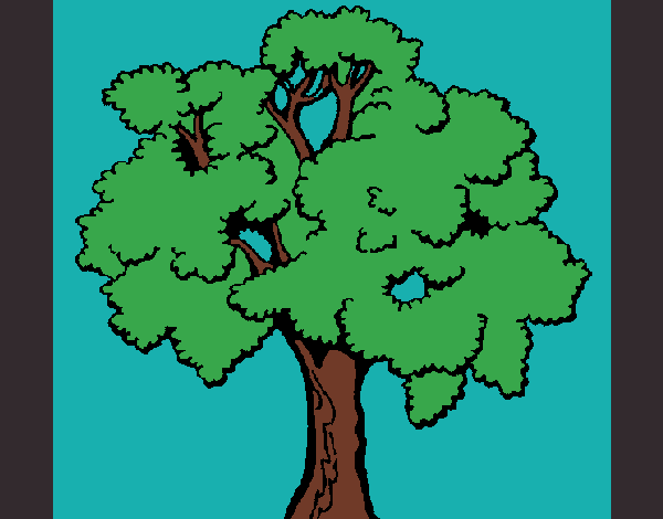 Coloring page Tree 1 painted bypinkrose