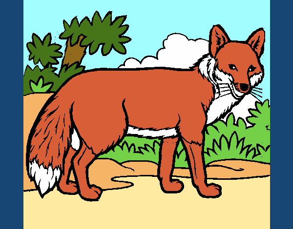 Coloring page Fox painted bypinkrose