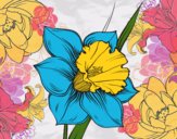Coloring page Narcissus flower painted byCharlotte